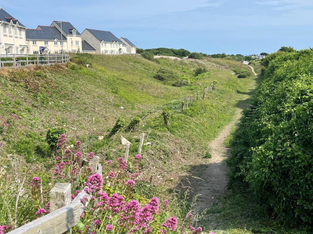 Vegetated path below houses