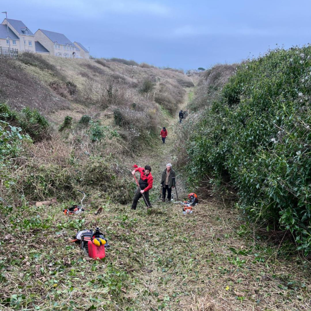 Multiple people clearing vegetation along a path
